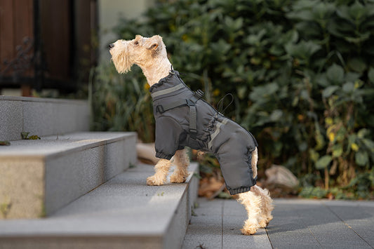 Winter Outdoor Thick Warm Dog Coat with Four Legs and Leash Attachment