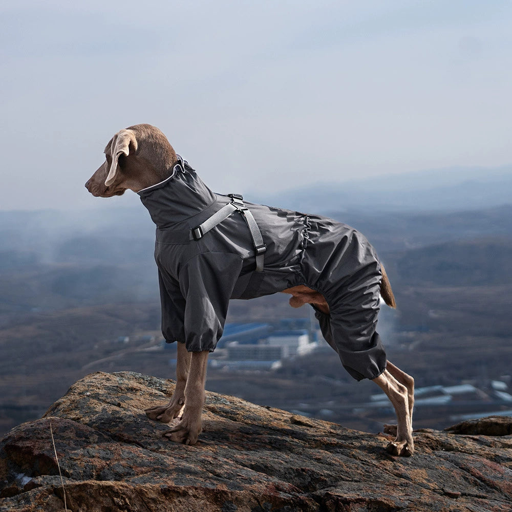 Full-Coverage Dog Raincoat – Waterproof & Windproof Pet Jumpsuit