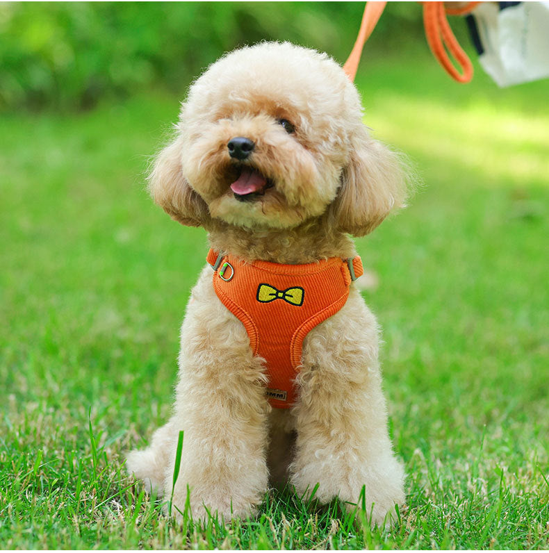Small Dog Harness and Leash Set – Reflective Vest Design, Soft 3D Velvet