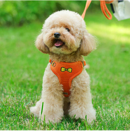 Small Dog Harness and Leash Set – Reflective Vest Design, Soft 3D Velvet