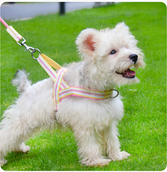 Dog Harness and Leash Set