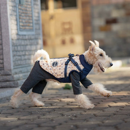 Winter Dog Vest for Small/Medium Breeds – Thickened Cotton Jacket with Leash Hole