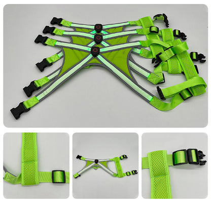 USB Rechargeable LED Pet Harness – X-Cross Dual Light Strips