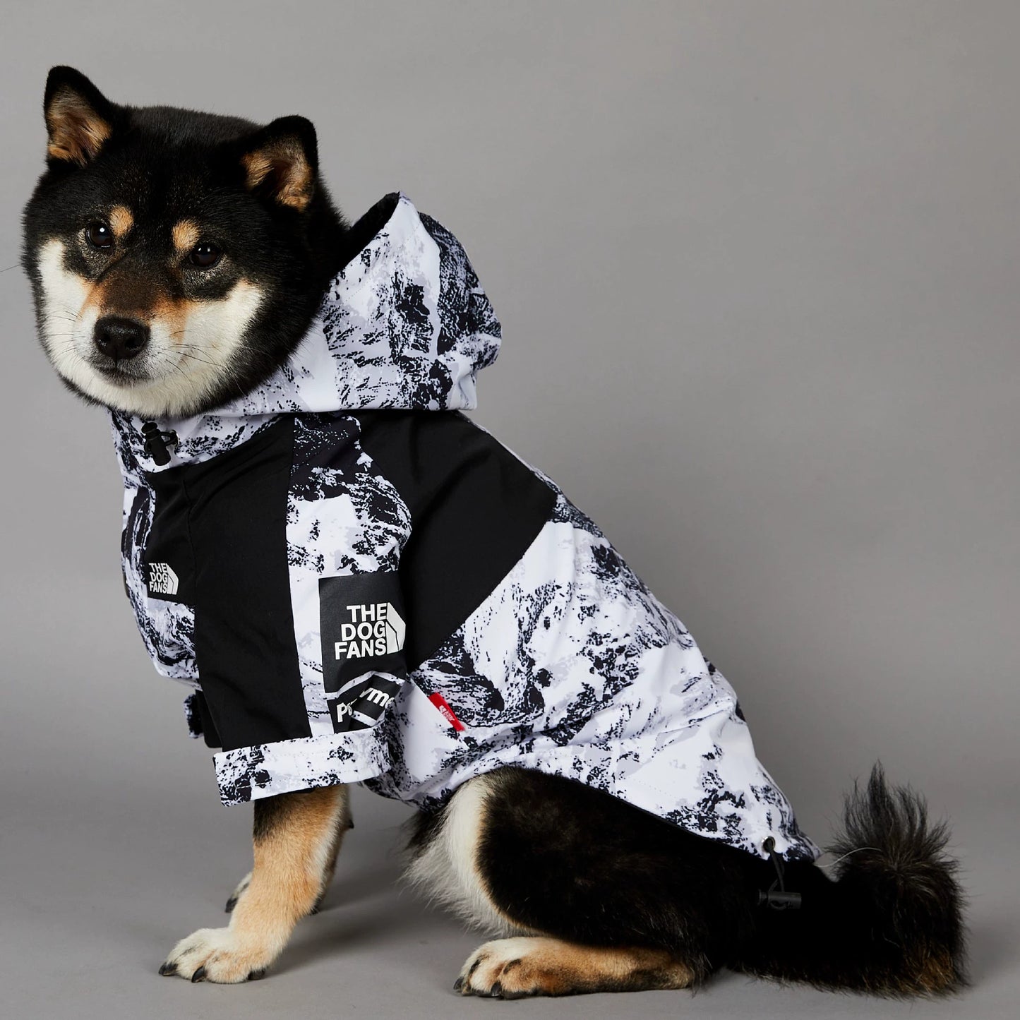 Windproof and Waterproof Outdoor Windbreaker for Large Dogs