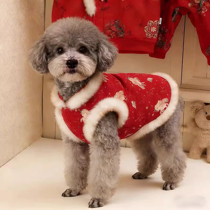 Lunar New Year Outfit