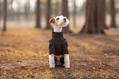 Full-Coverage Dog Raincoat – Waterproof & Windproof Pet Jumpsuit