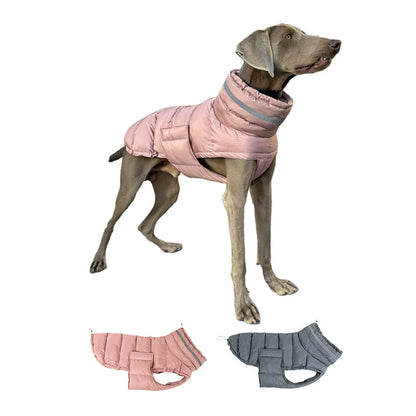 Premium Cotton Jacket for Large Dogs (Suitable for Breeds like Whippets)