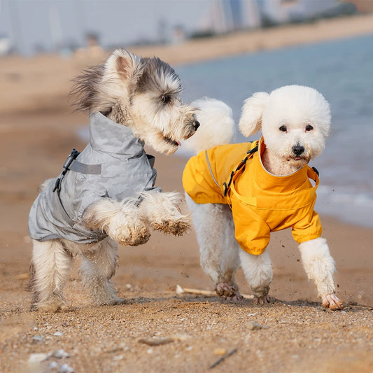 Stylish & Waterproof Dog Raincoat for Small & Medium Breeds