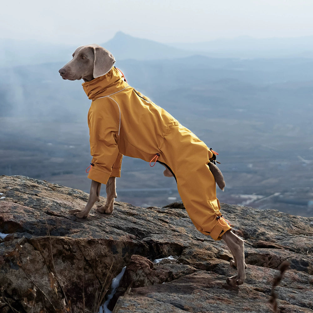 Large Dog Four-Legged Fleece-Lined Waterproof Jacket"
