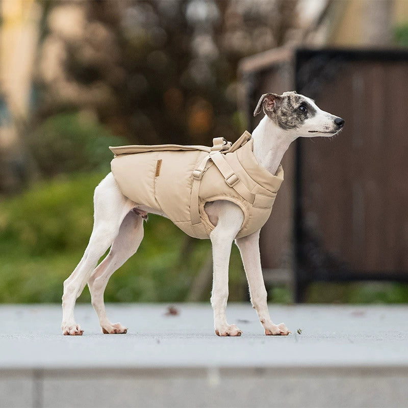Dog Winter Padded Coat with Integrated Vest-Back Design