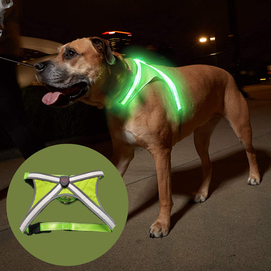 USB Rechargeable LED Pet Harness – X-Cross Dual Light Strips