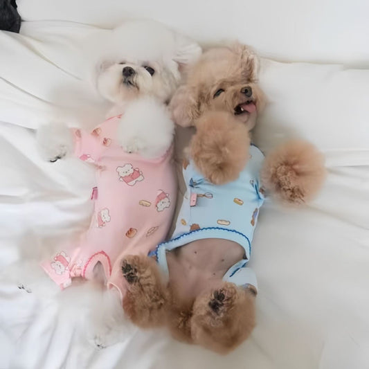 one-piece pajamas for girl &boy dogs