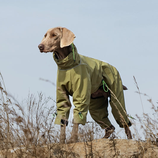 Large Dog Four-Legged Fleece-Lined Waterproof Jacket"