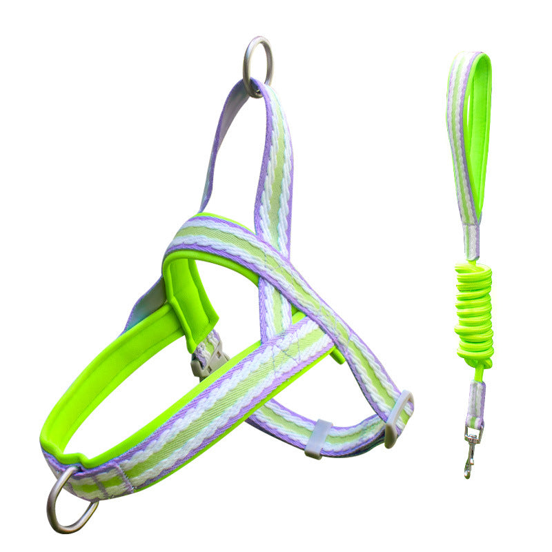 Dog Harness and Leash Set