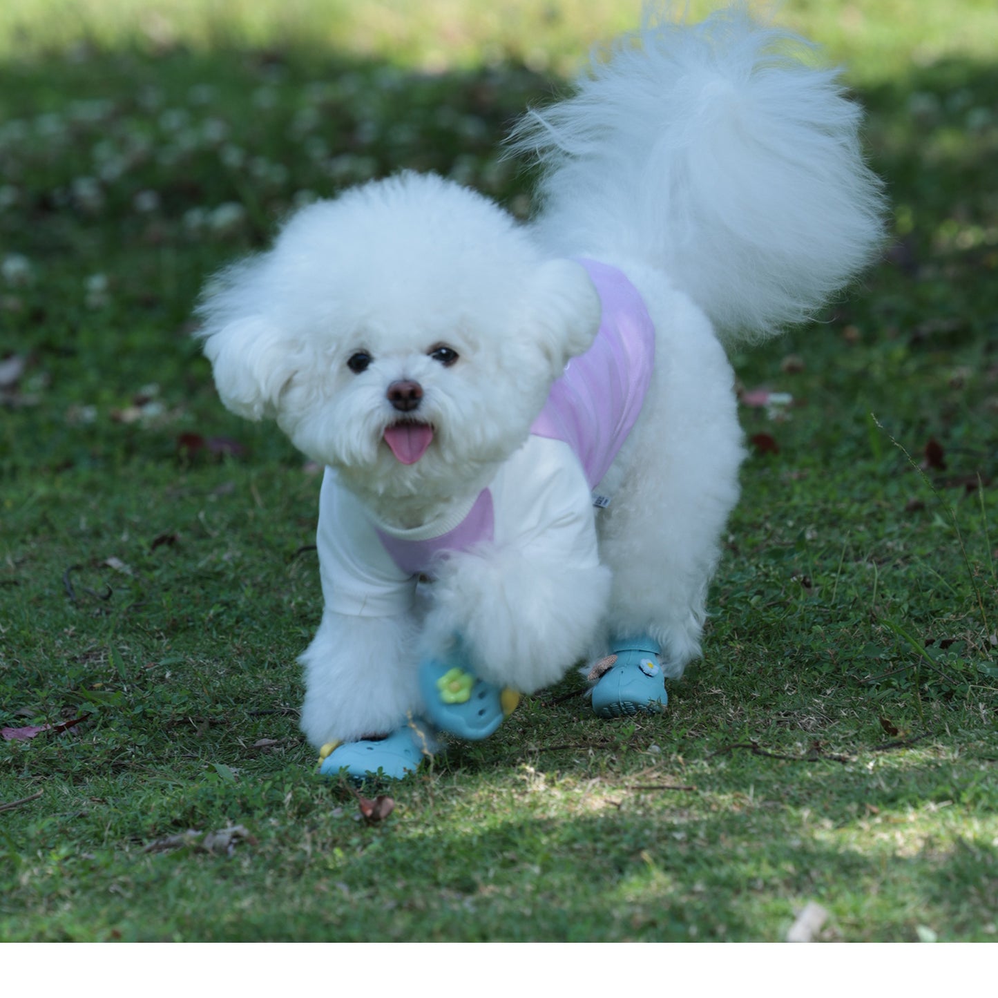 Pet 'Crocs' Boots