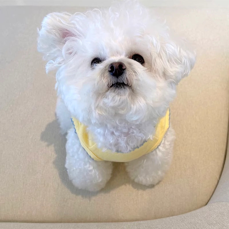 BreezeShield™ Puppy Vest - Light Spring Layer to Prevent Chills