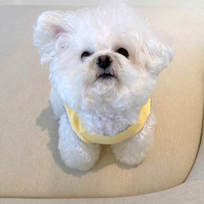 BreezeShield™ Puppy Vest - Light Spring Layer to Prevent Chills