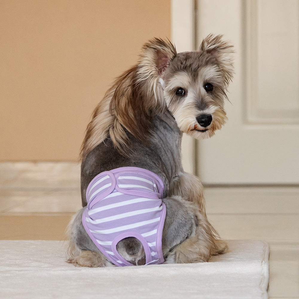 Washable Pet Hygiene Pants for Period Use.