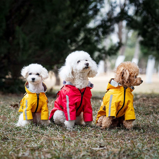 Pet Raincoat with Zipper & Hat