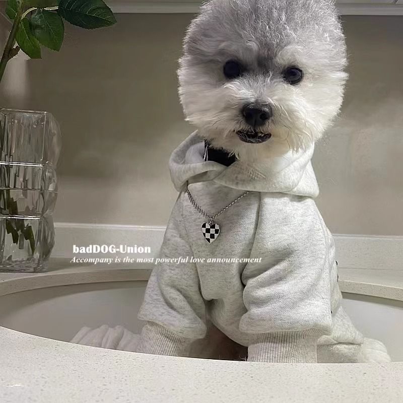 Fleece-Lined Warm Hoodie