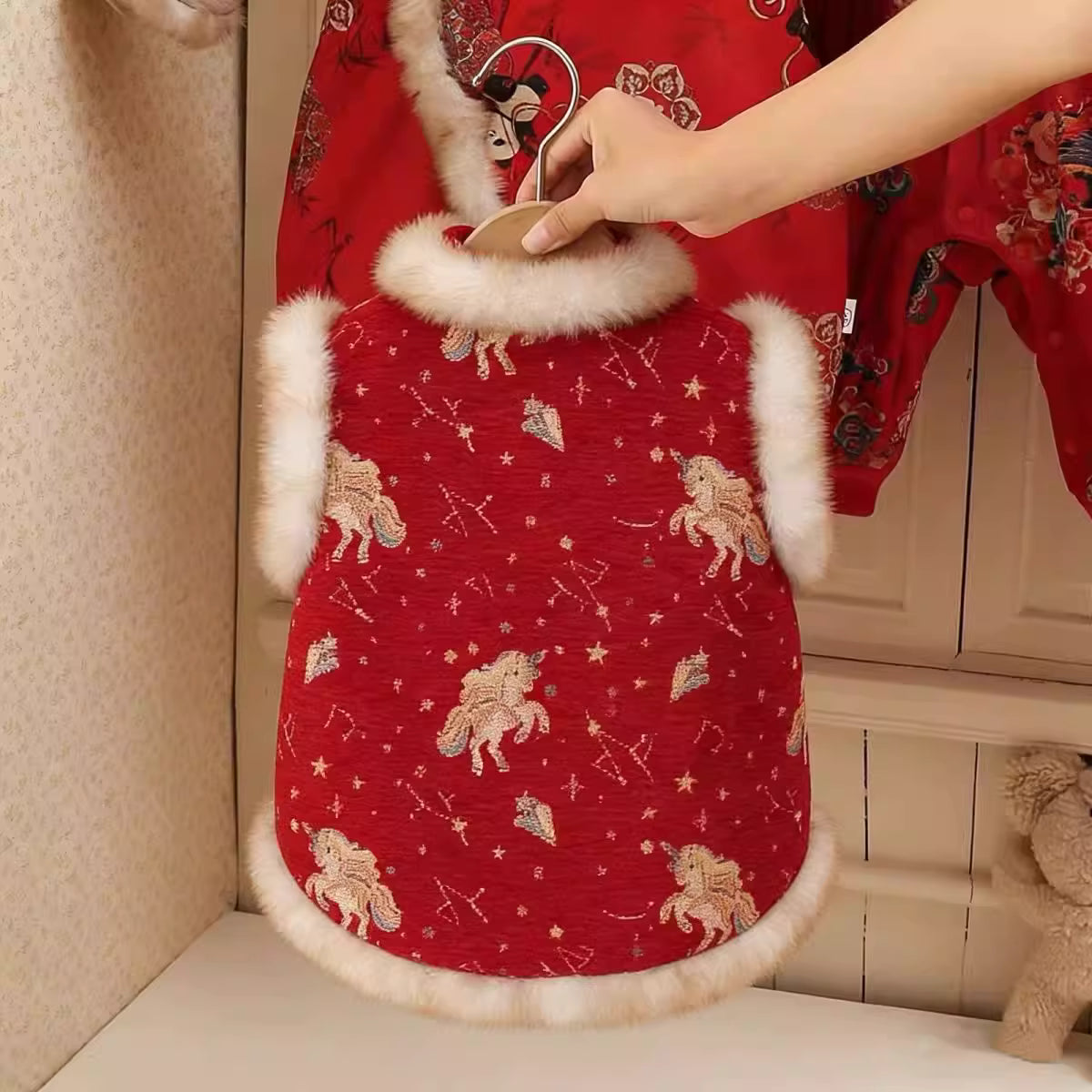 Lunar New Year Outfit