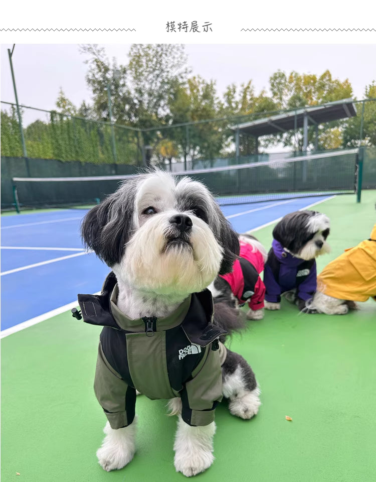 Detachable pet down jacket and softshell coat