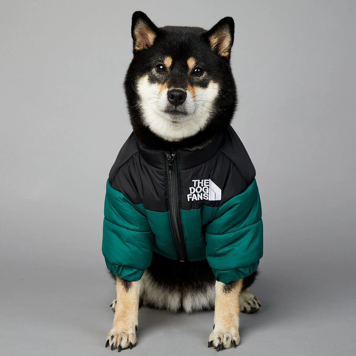Large Dogs  Outdoor Windbreaker（cotton）