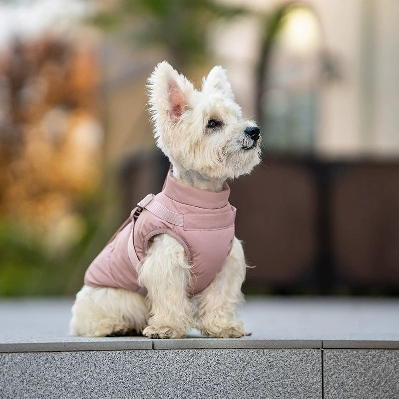 Dog Winter Padded Coat with Integrated Vest-Back Design