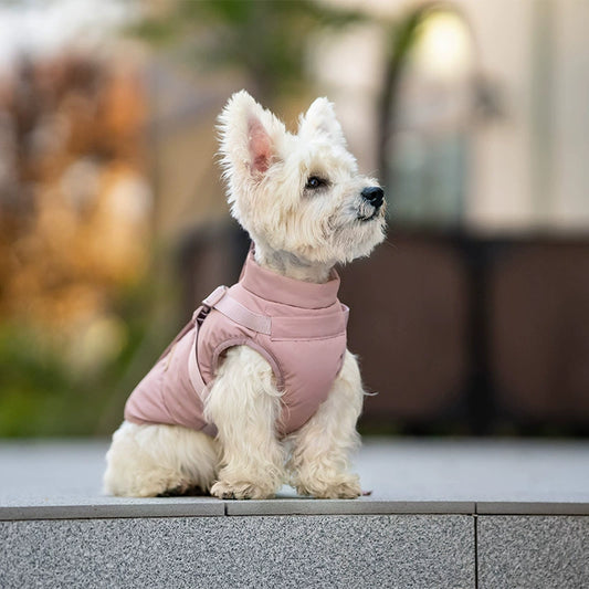 Dog Winter Padded Coat with Integrated Vest-Back Design