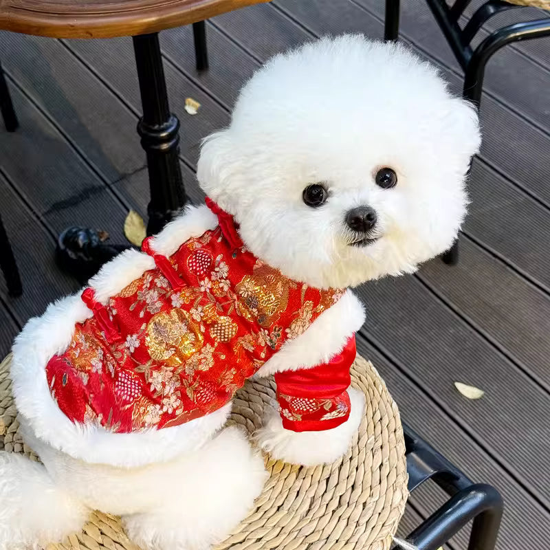 Chinese New Year Outfit
