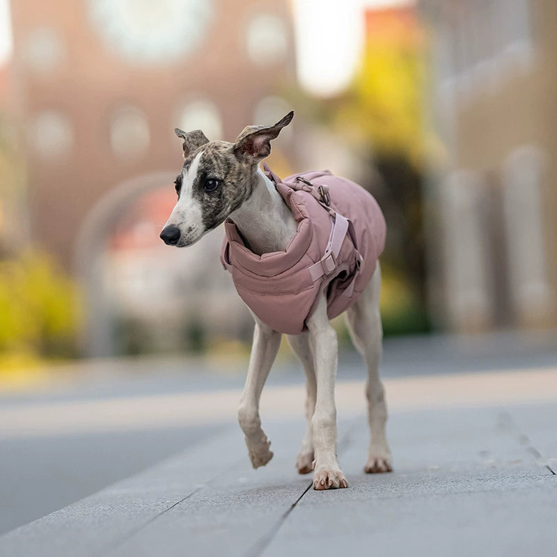 Dog Winter Padded Coat with Integrated Vest-Back Design