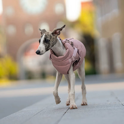 Dog Winter Padded Coat with Integrated Vest-Back Design