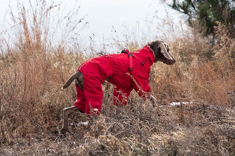 Full-Coverage Dog Raincoat – Waterproof & Windproof Pet Jumpsuit