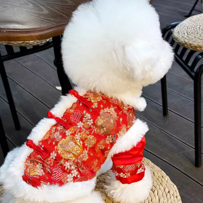 Chinese New Year Outfit
