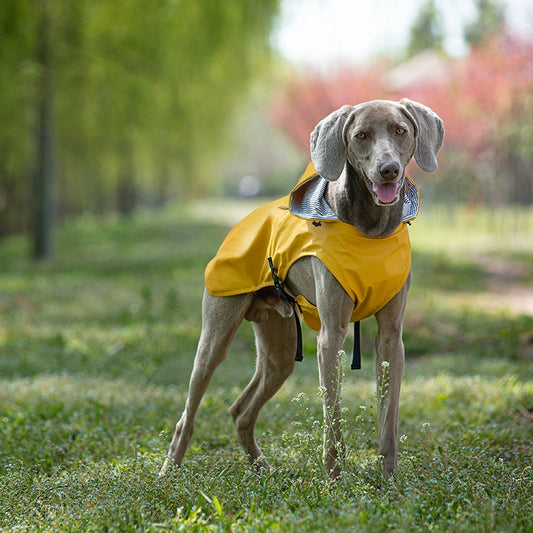 Foldable & Waterproof Dog Raincoat – Hooded, Reflective & Universal Fit for Medium & Large Dogs