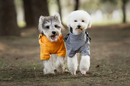 Stylish & Waterproof Dog Raincoat for Small & Medium Breeds