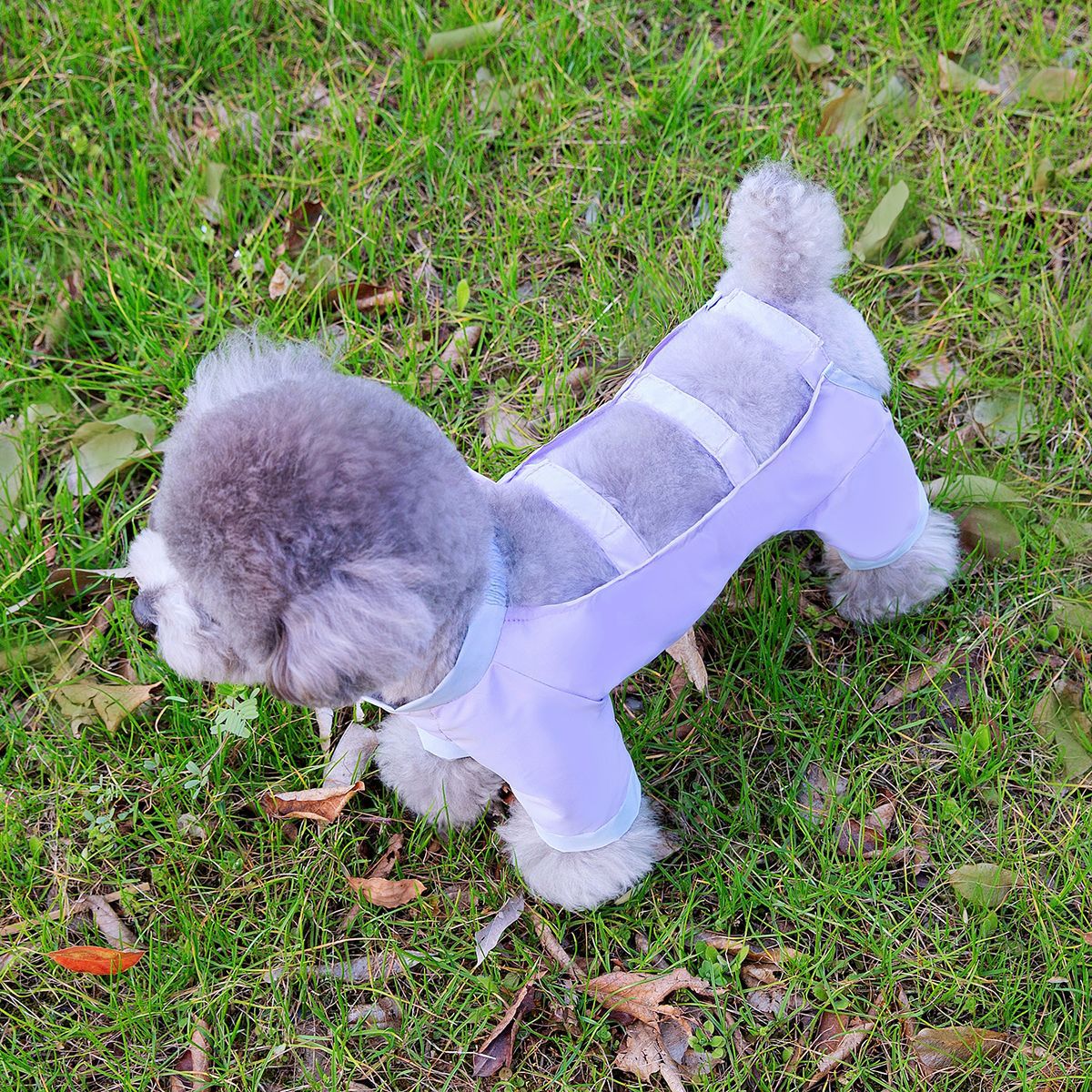 Lightweight Dog Pants – Dustproof, Dirt & Insect-Resistant Four-Leg Leggings for Dogs