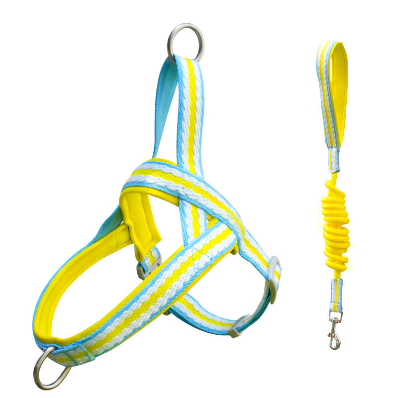 Dog Harness and Leash Set