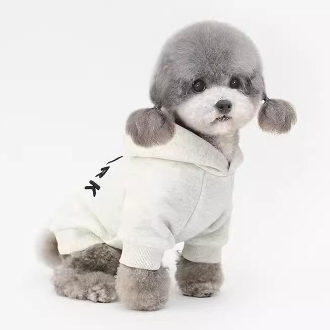 Fleece-Lined Warm Hoodie