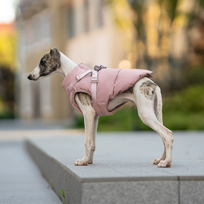 Dog Winter Padded Coat with Integrated Vest-Back Design