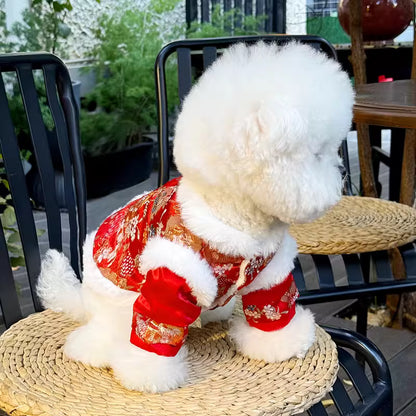 Chinese New Year Outfit