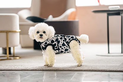 With SafePaws Healing Suit, dog recover safely and comfortably without the risk of licking stitches.