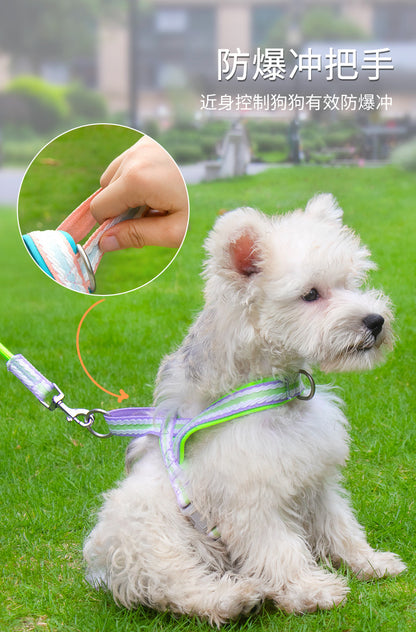 Dog Harness and Leash Set