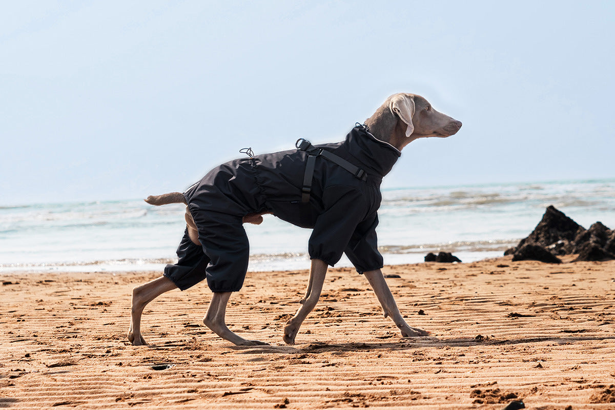 Full-Coverage Dog Raincoat – Waterproof & Windproof Pet Jumpsuit