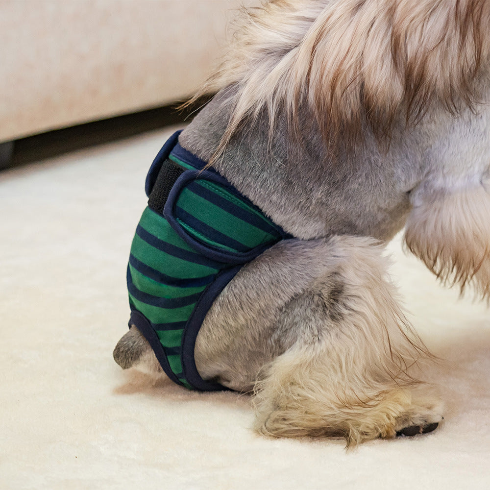 Washable Pet Hygiene Pants for Period Use.