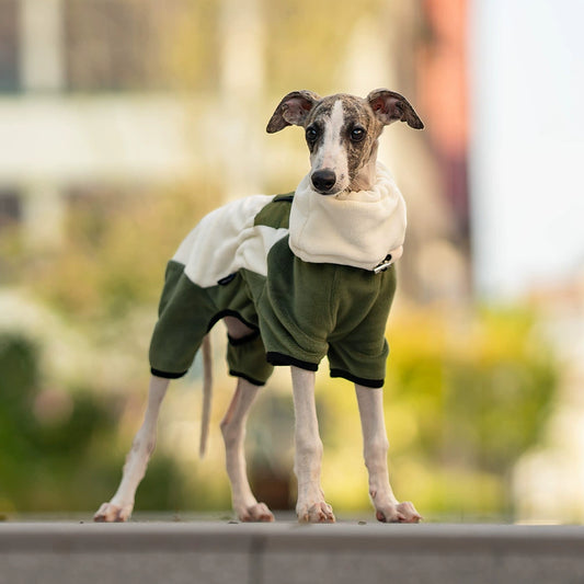 Detachable Hood Windproof Dog Fleece Jumpsuit – 4-Leg Winter Coat