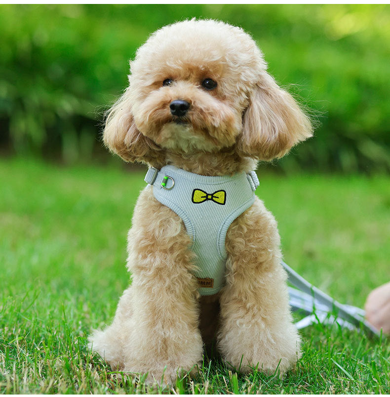 Small Dog Harness and Leash Set – Reflective Vest Design, Soft 3D Velvet