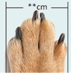 Dog  Boots with Quiet Soft Sole