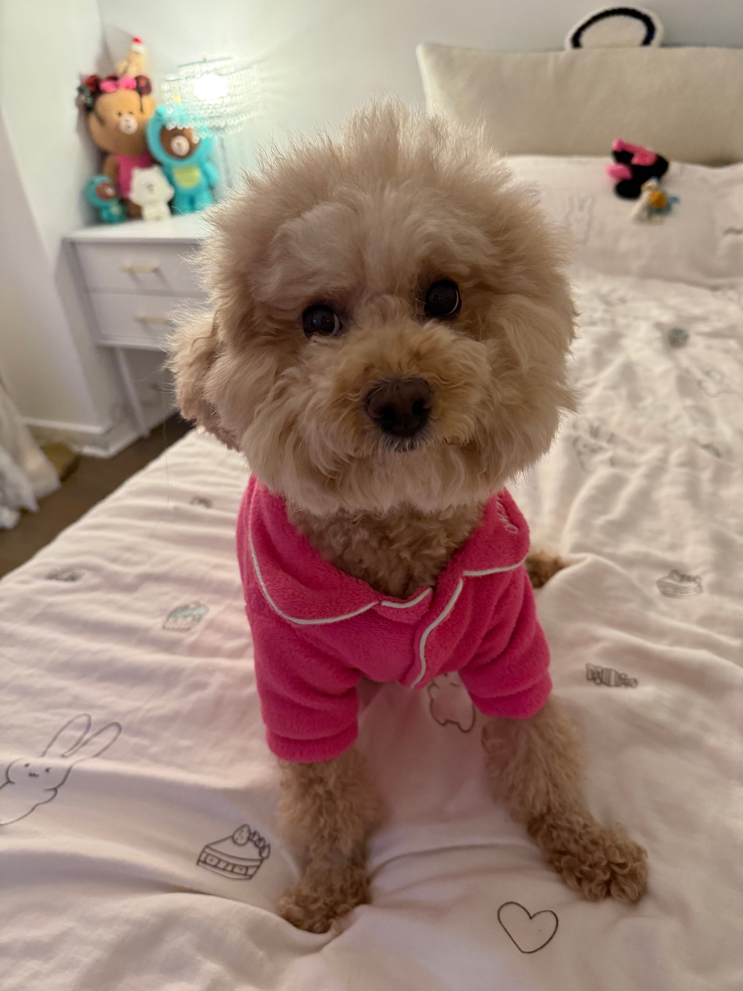 ' Victoria's Secret 'Dog  Sherpa Pajama