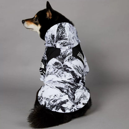 Windproof and Waterproof Outdoor Windbreaker for Large Dogs